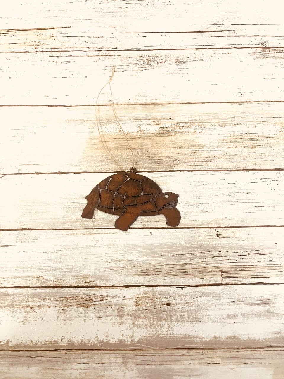 Tortoise Desert Southwest Ornament