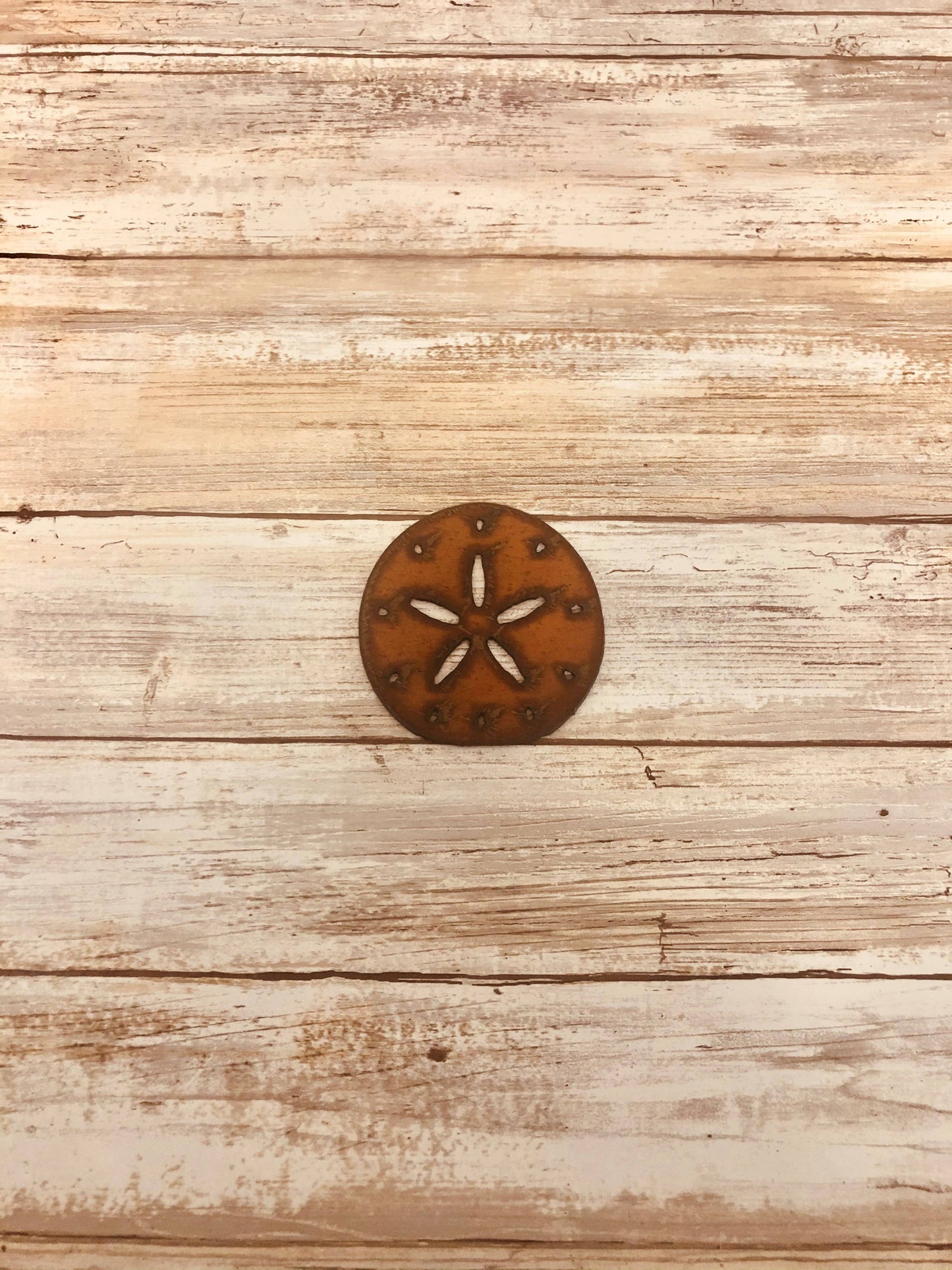 Sand Dollar Nautical Magnet