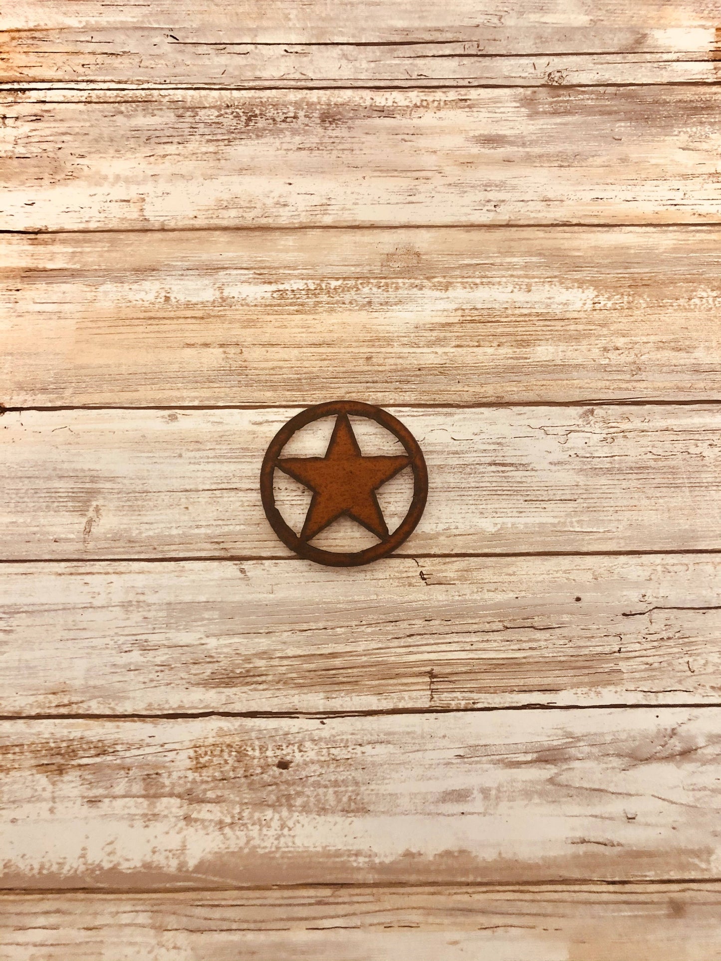 Texas Star Western Magnet