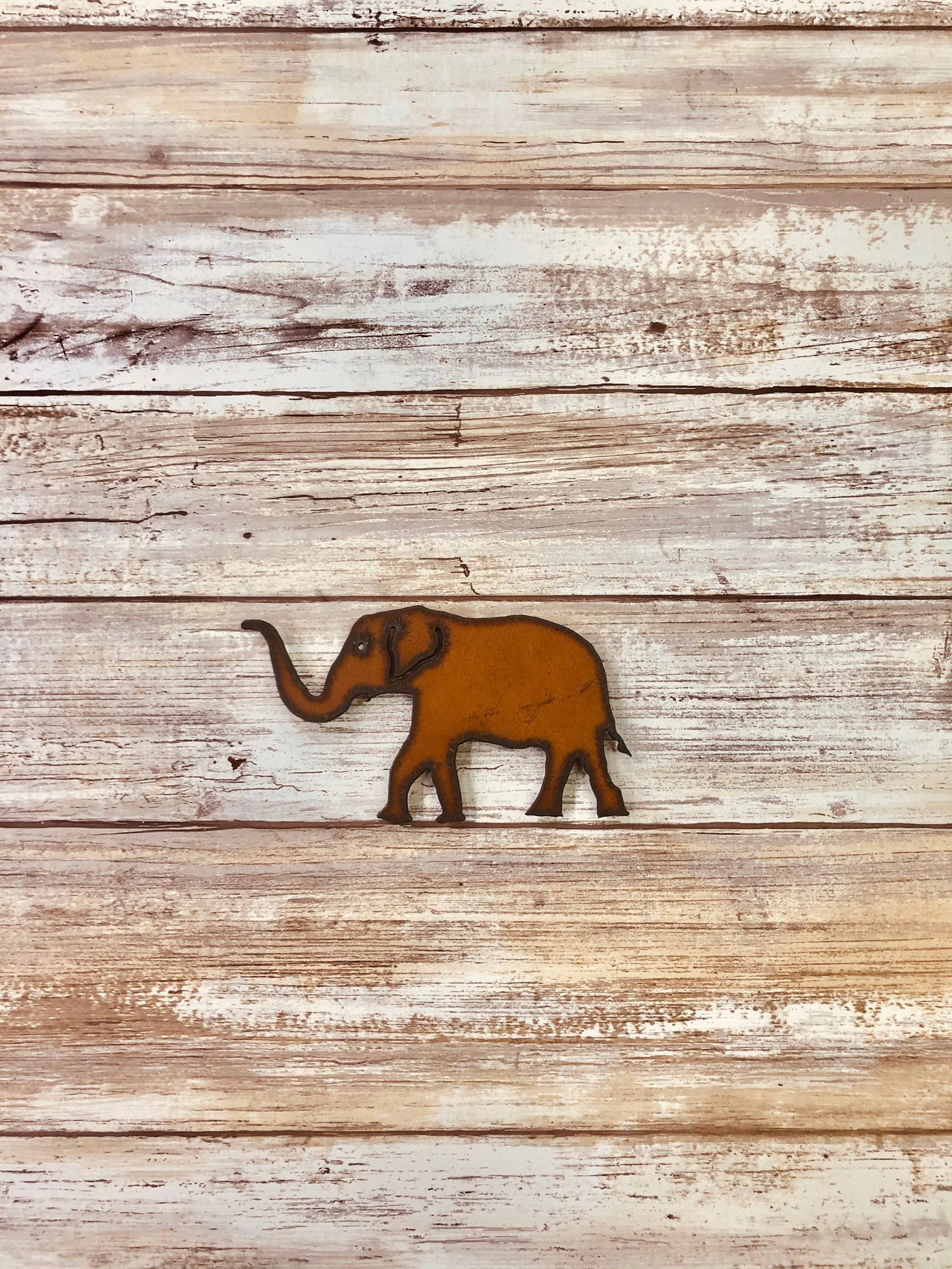 Elephant Zoo Animal Rustic Magnet