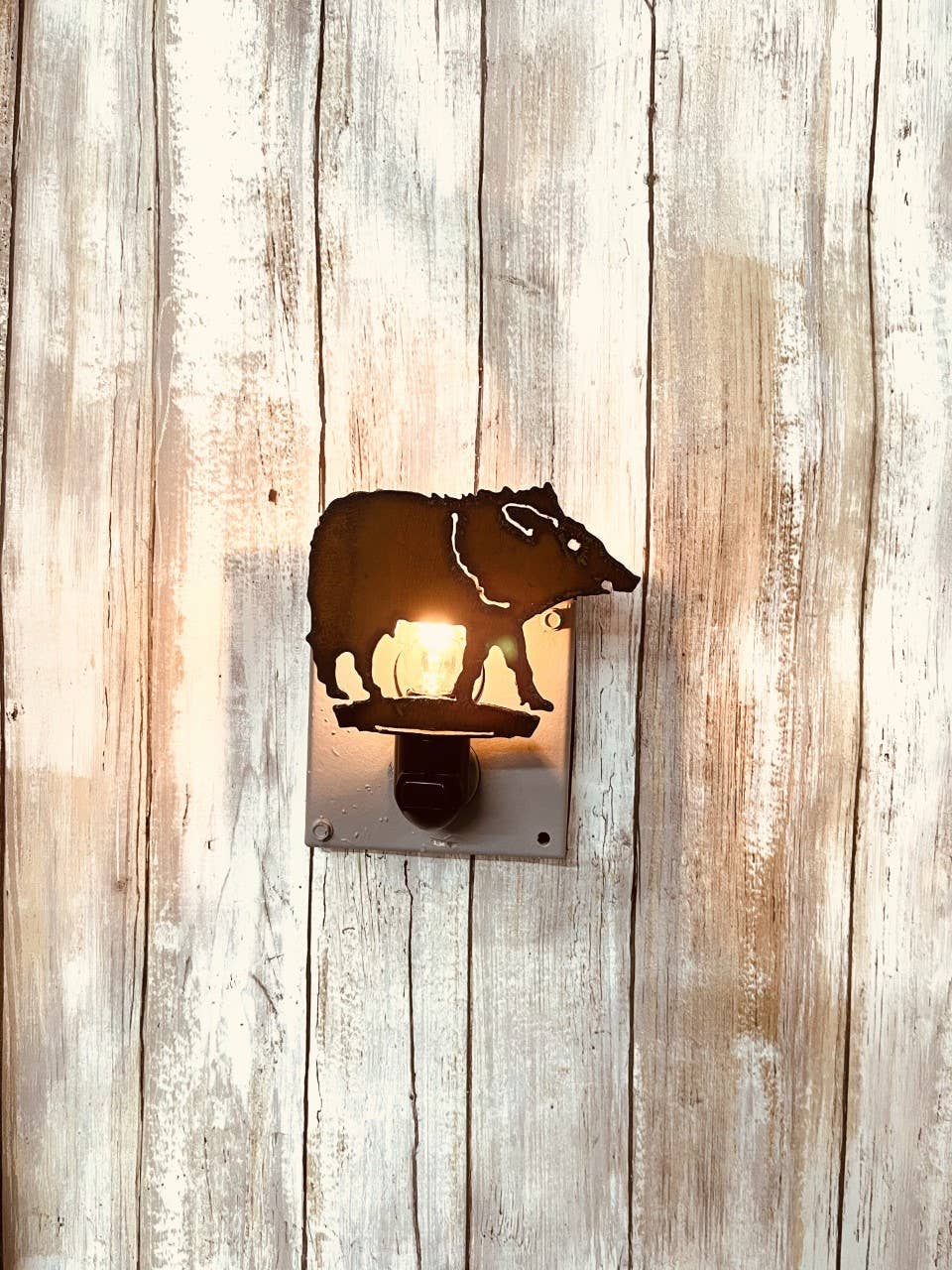 Javelina Southwest Image Nightlight