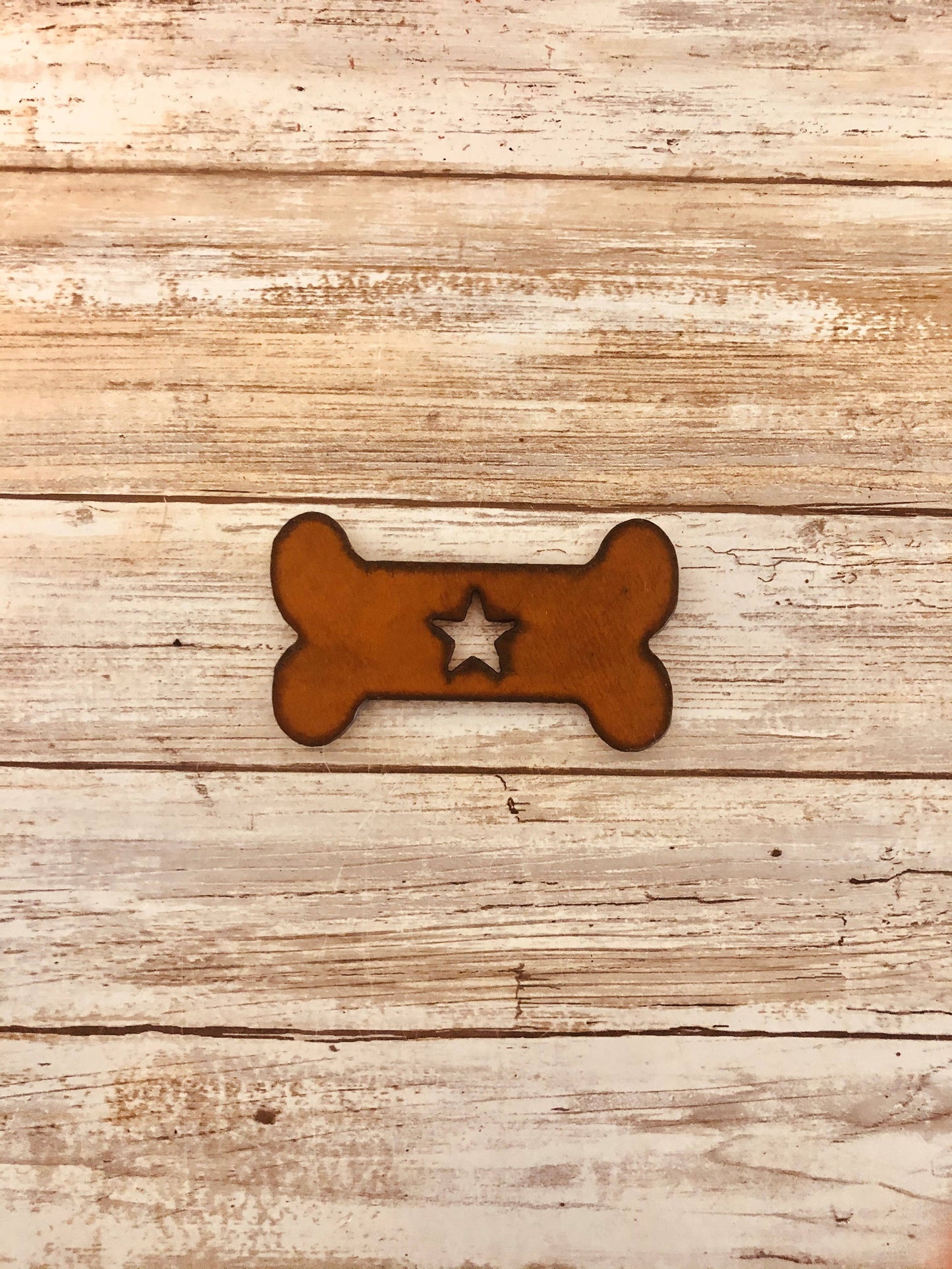 Dog Bone with Star Pet Magnet