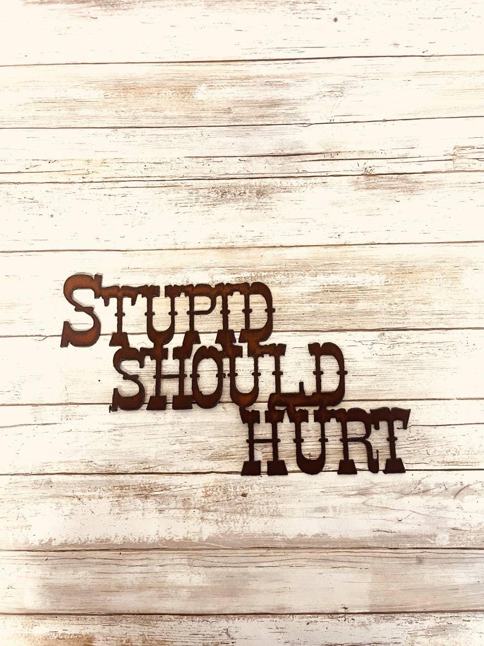 Stupid Should Hurt Rustic Metal Home Decor Sign