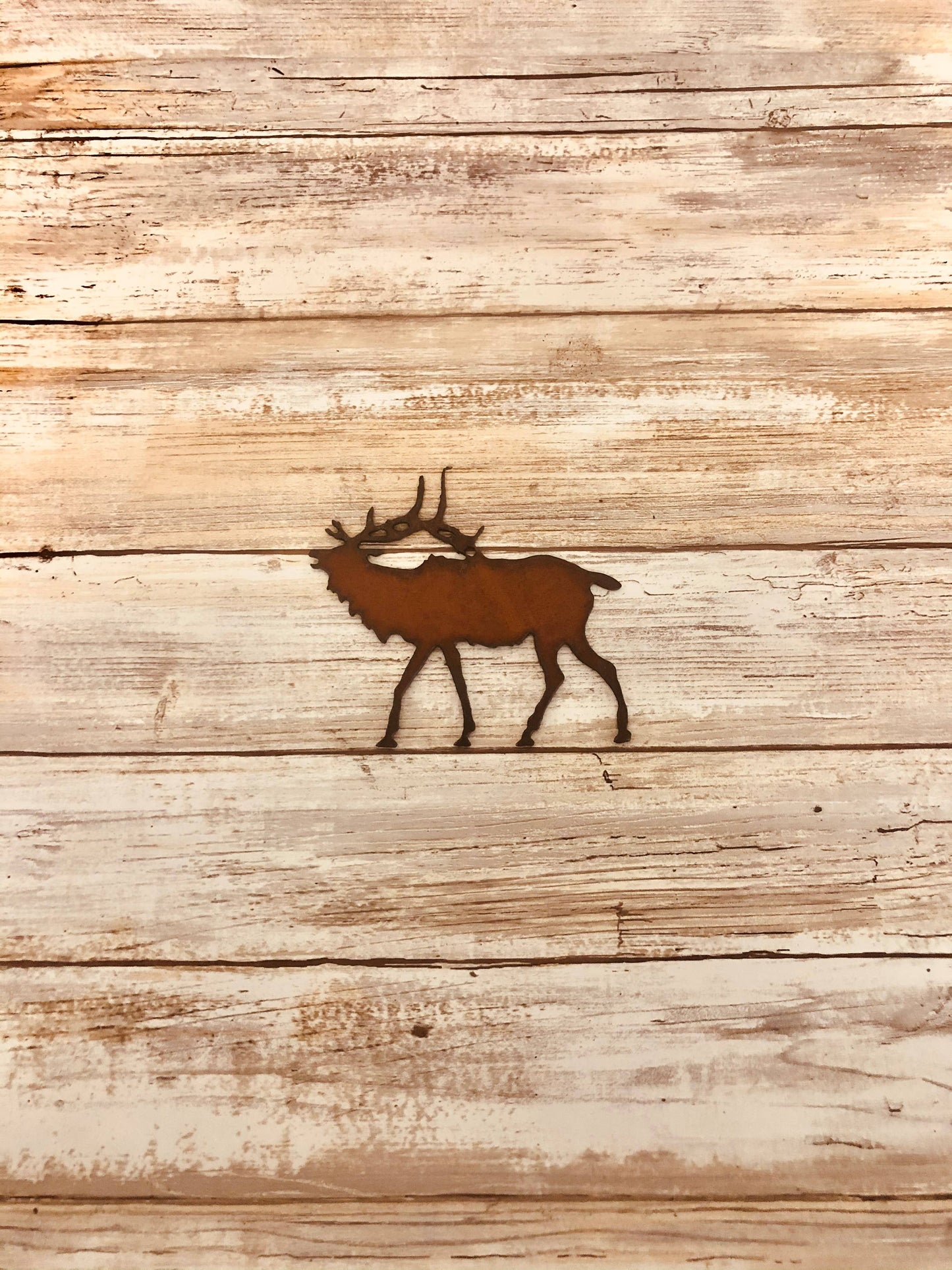 Elk Lodge Magnet