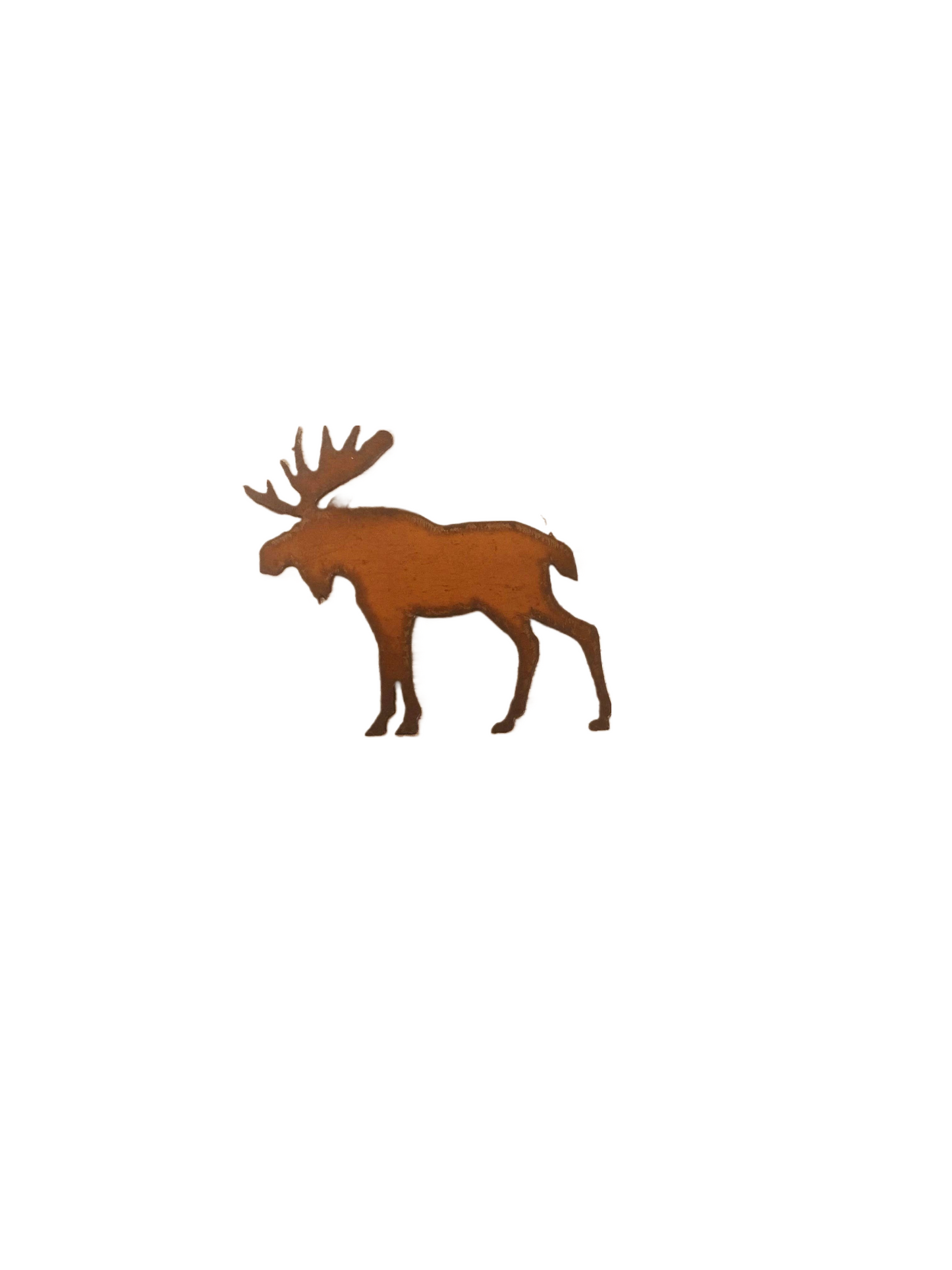 Moose Magnet