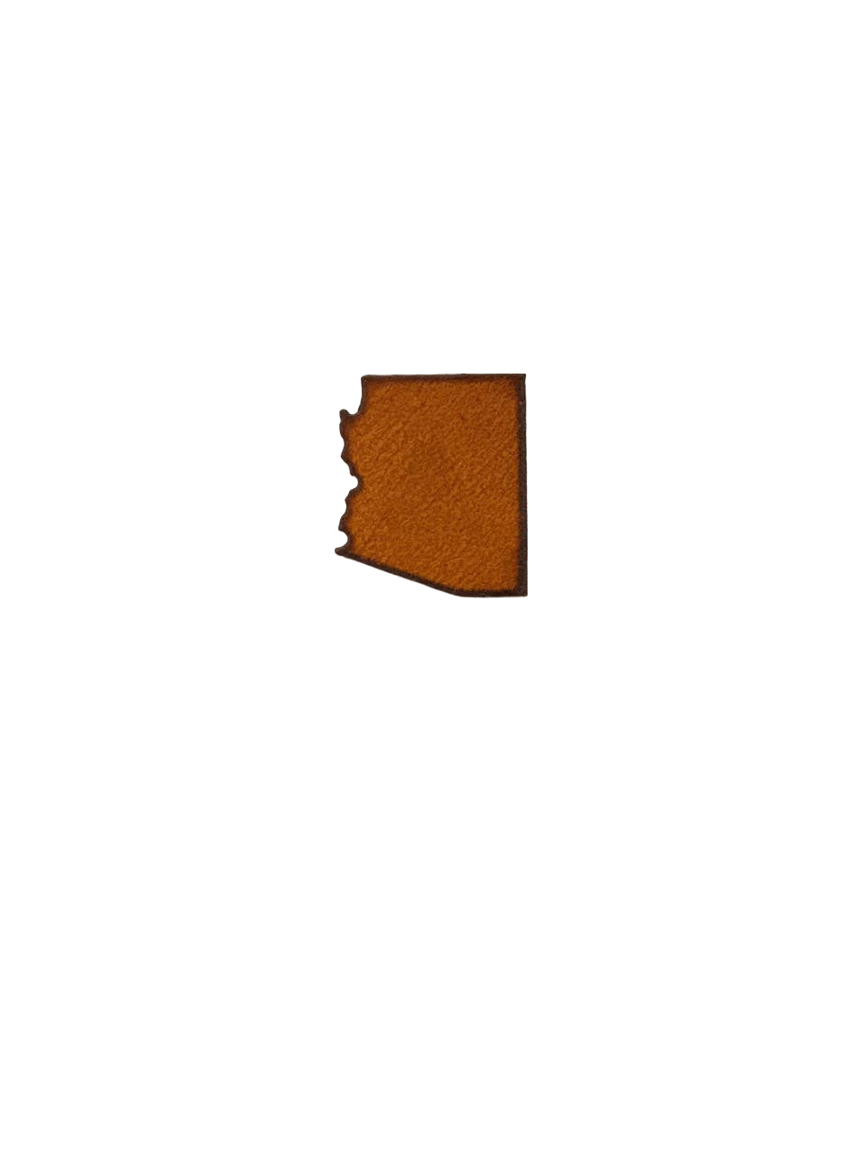 Arizona State Shape Magnet