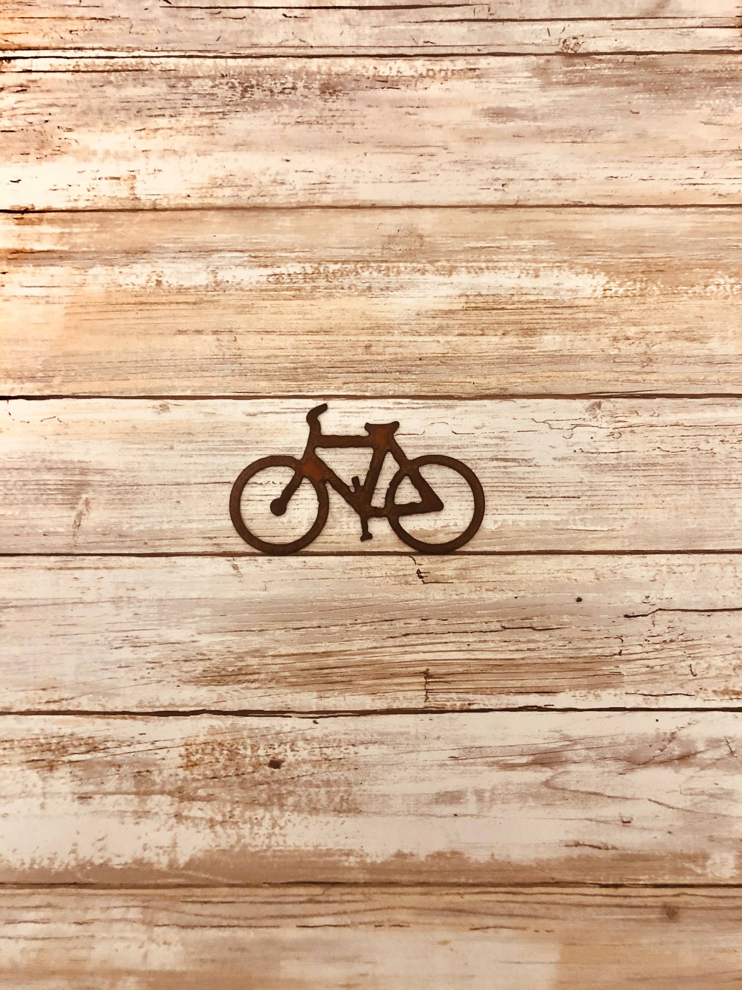 Bicycle Magnet