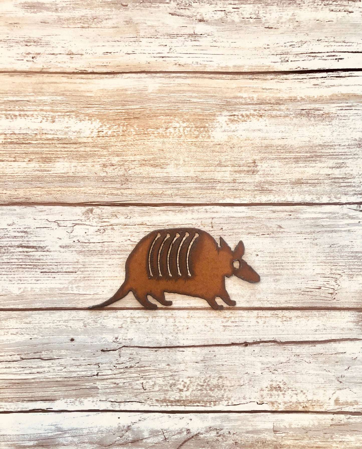 Armadillo Western Magnet