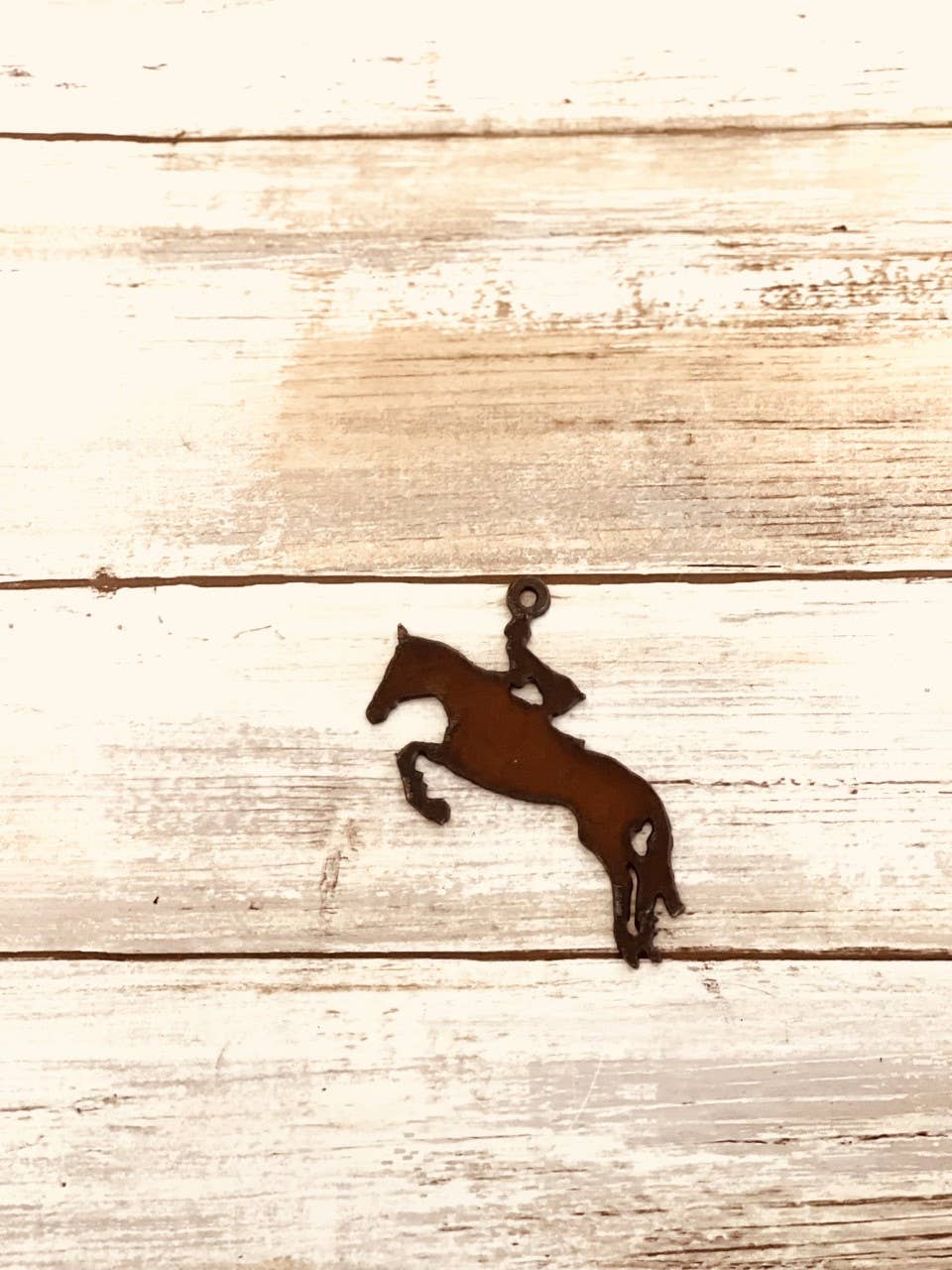 Jumper Horse Charm