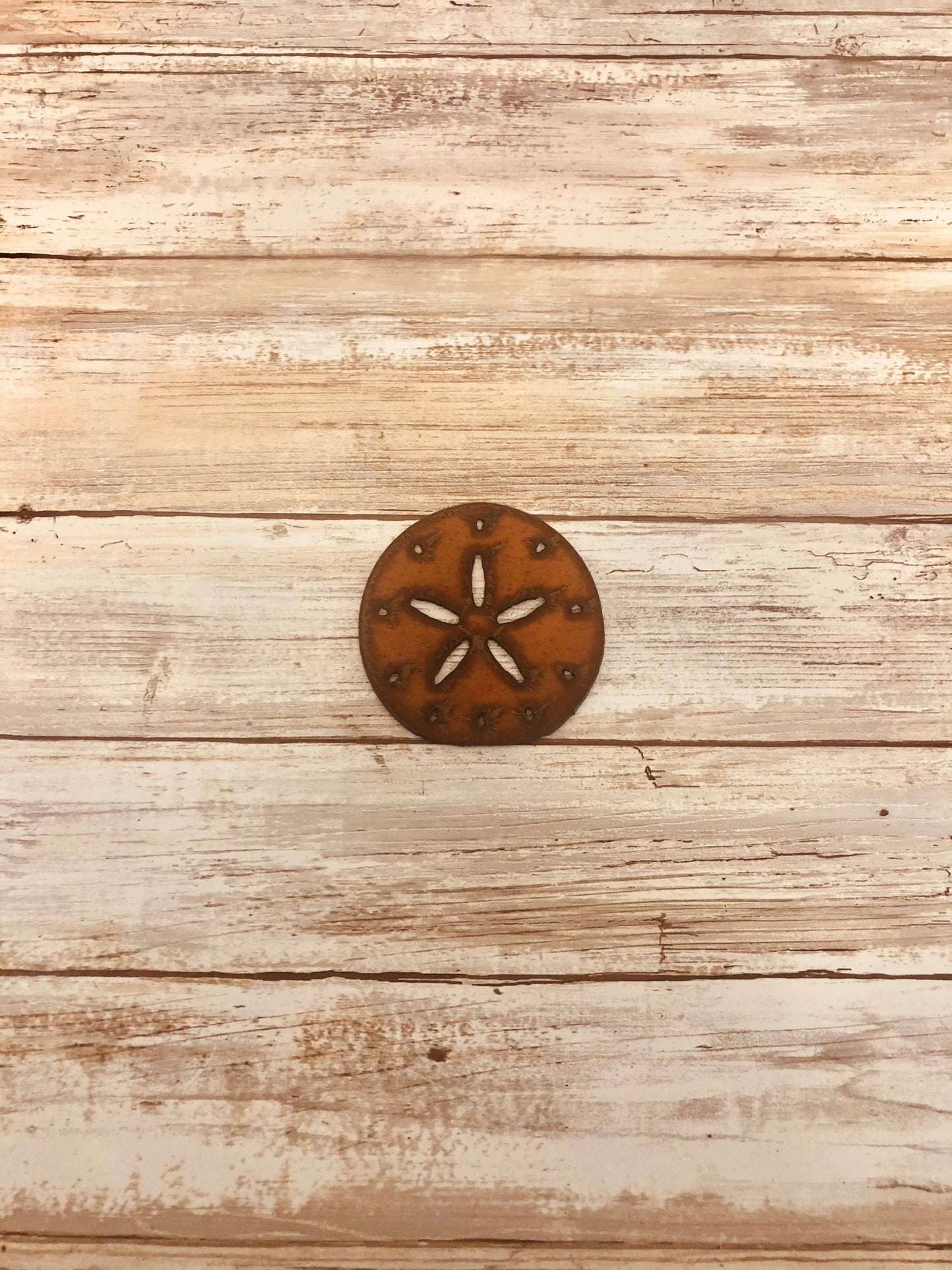 Sand Dollar Nautical  Magnet