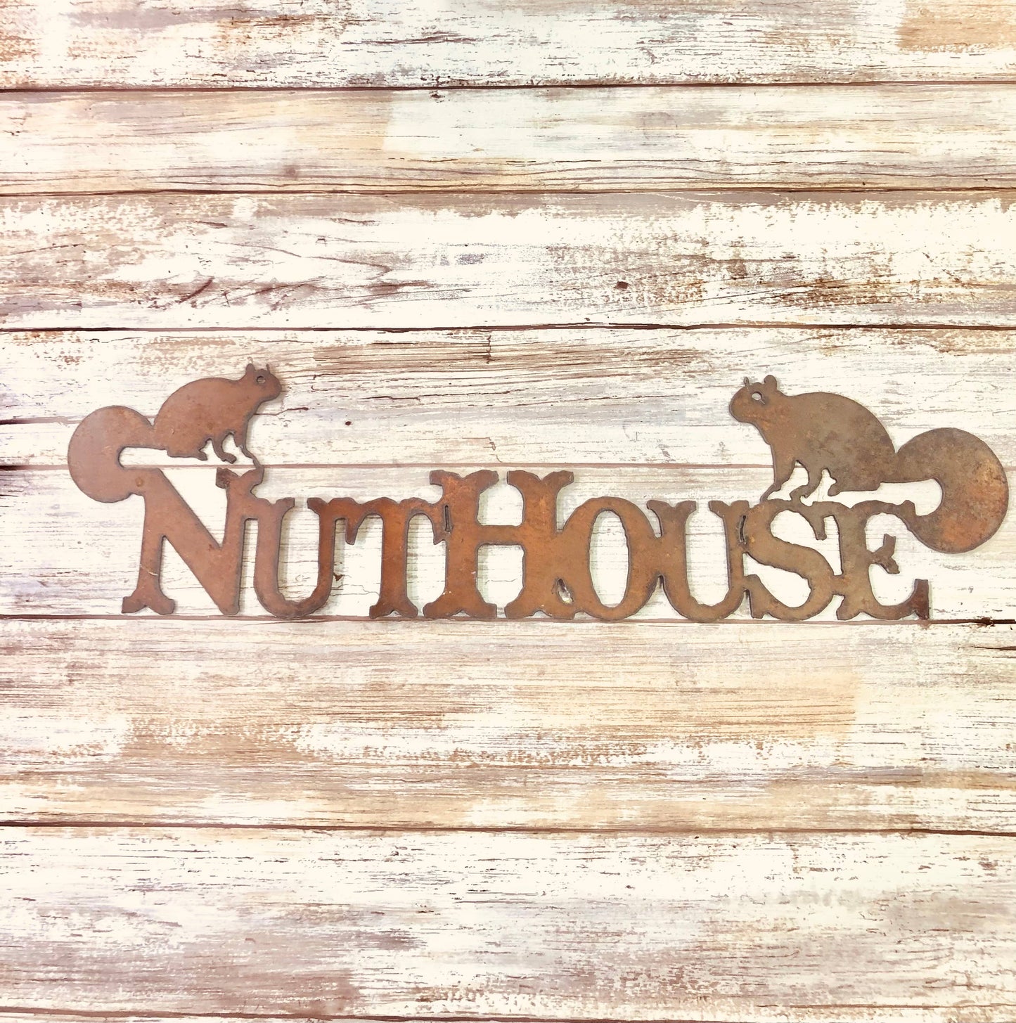 Nuthouse Funny Lodge Cabin Squirrel Sign