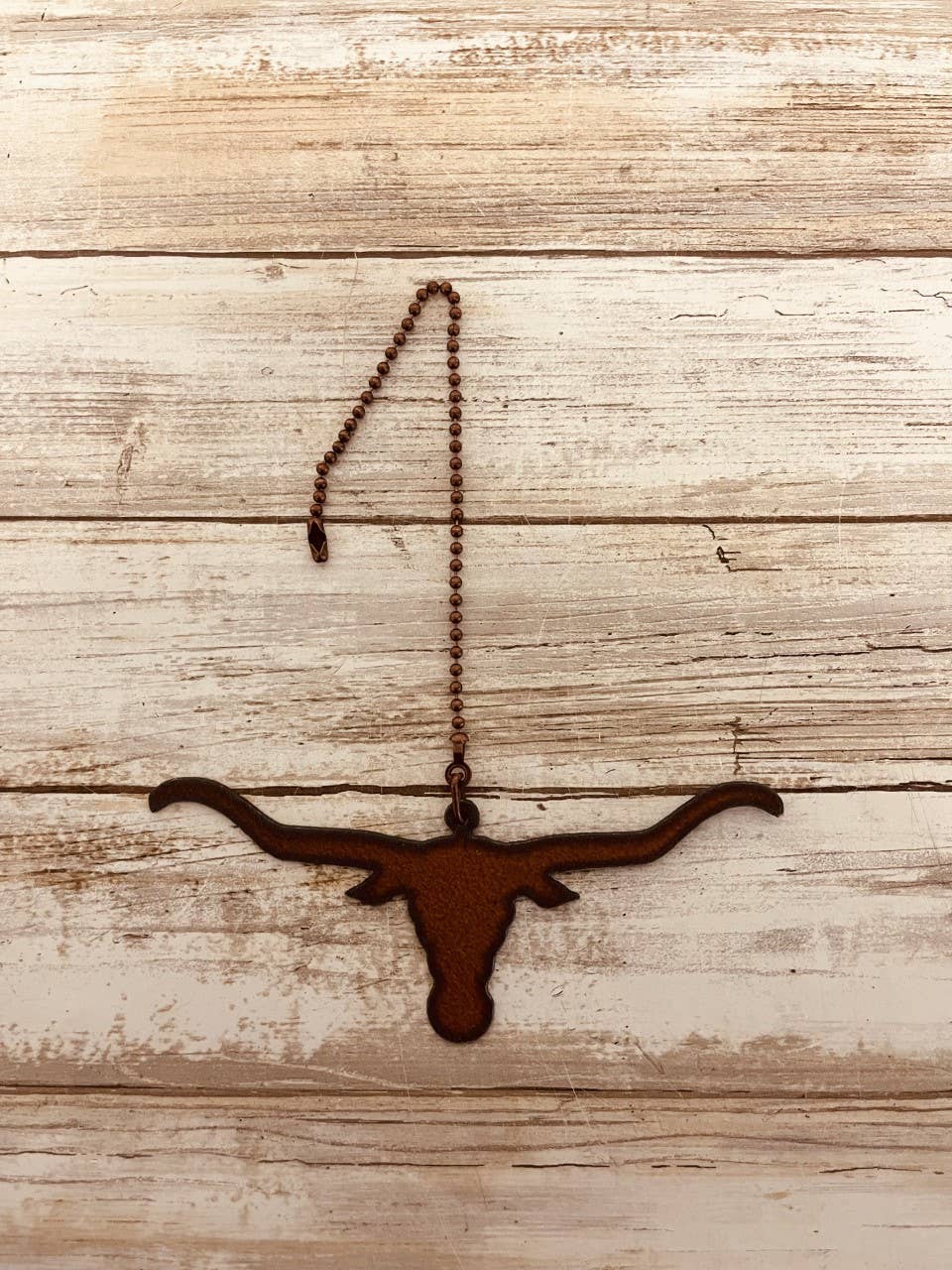 Steer Head  Longhorn Western Fan Pull