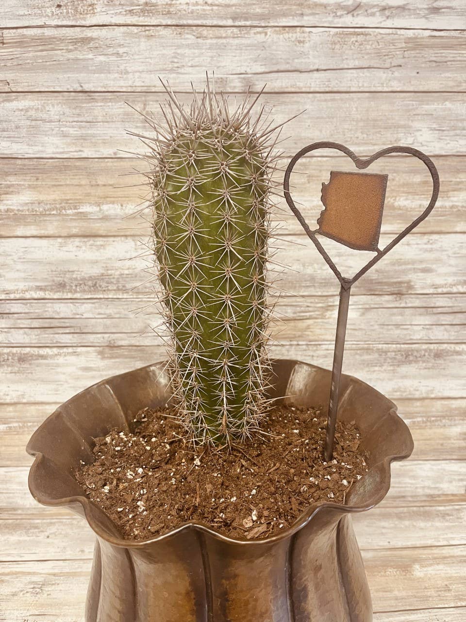 Heart Outline with Arizona State Shape Garden Plant Stake