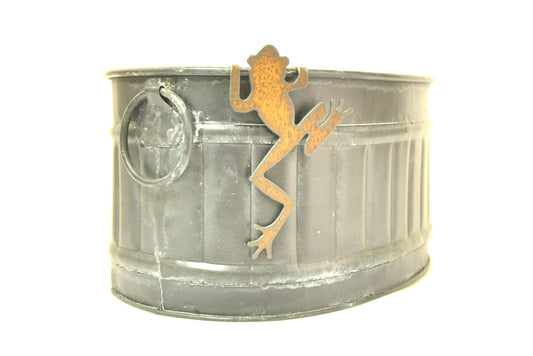 Frog Garden Pot Climber