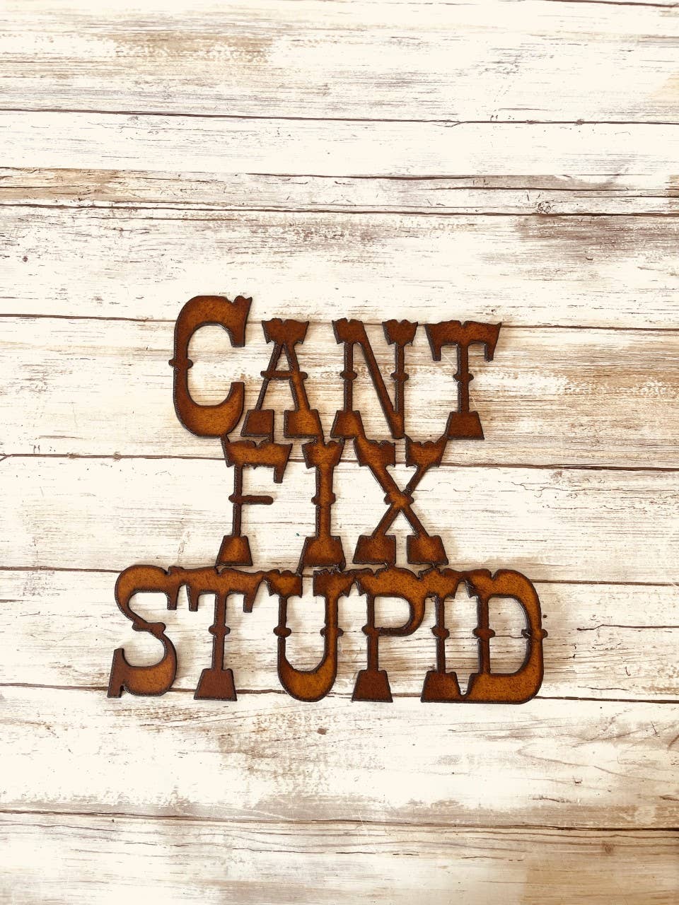 Can't Fix Stupid Rustic Metal Sign