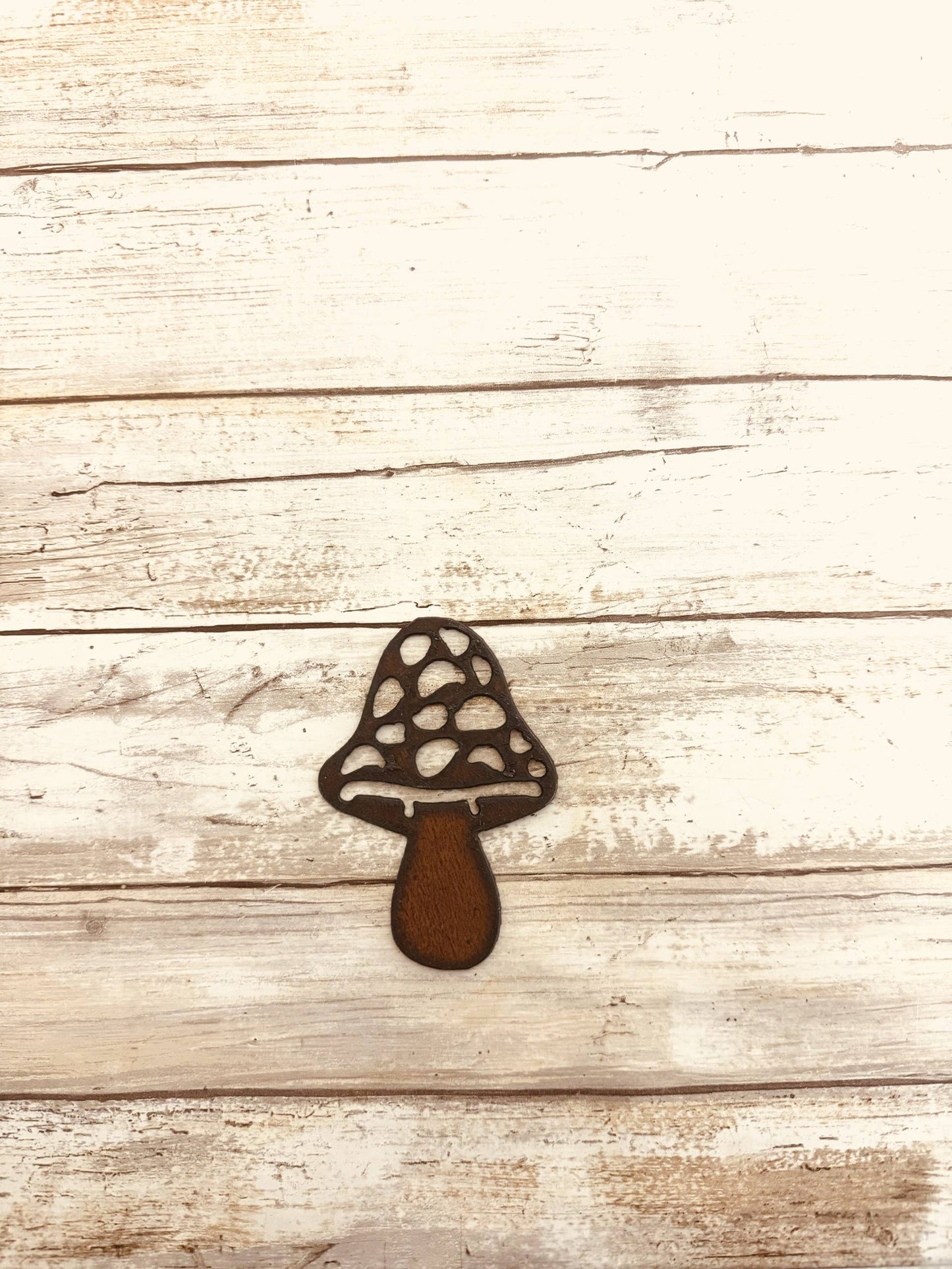 Mushroom #3 Magnet Rustic Metal Garden Home Decor Gift