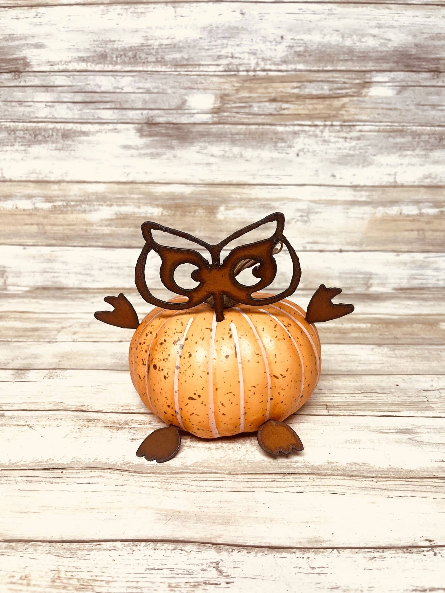 Owl Parts Rustic Halloween Thanksgiving Home Decor