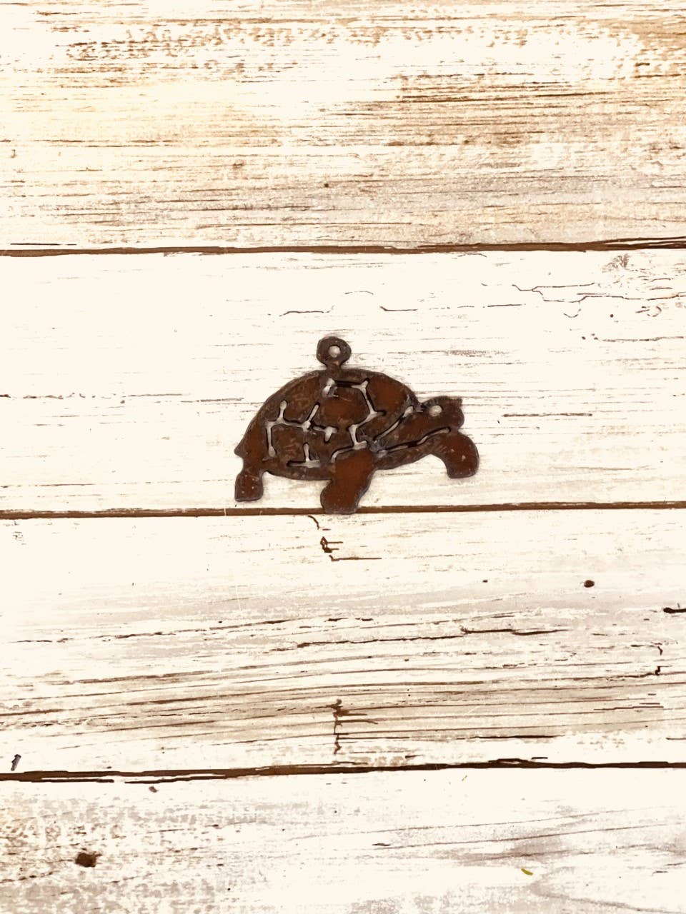 Tortoise charm