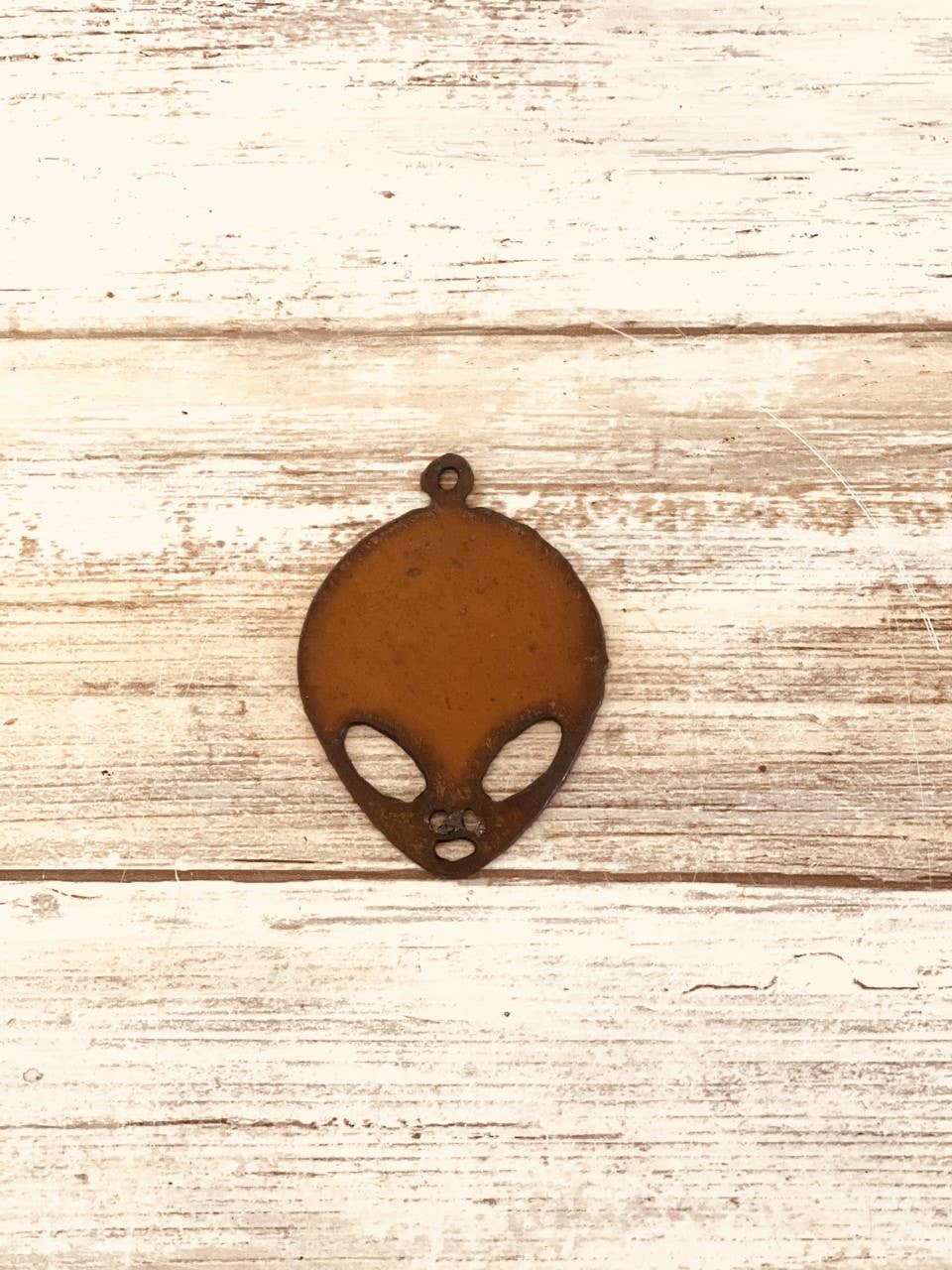 Alien Head Charm Pendant Area 51 New Mexico Pendant