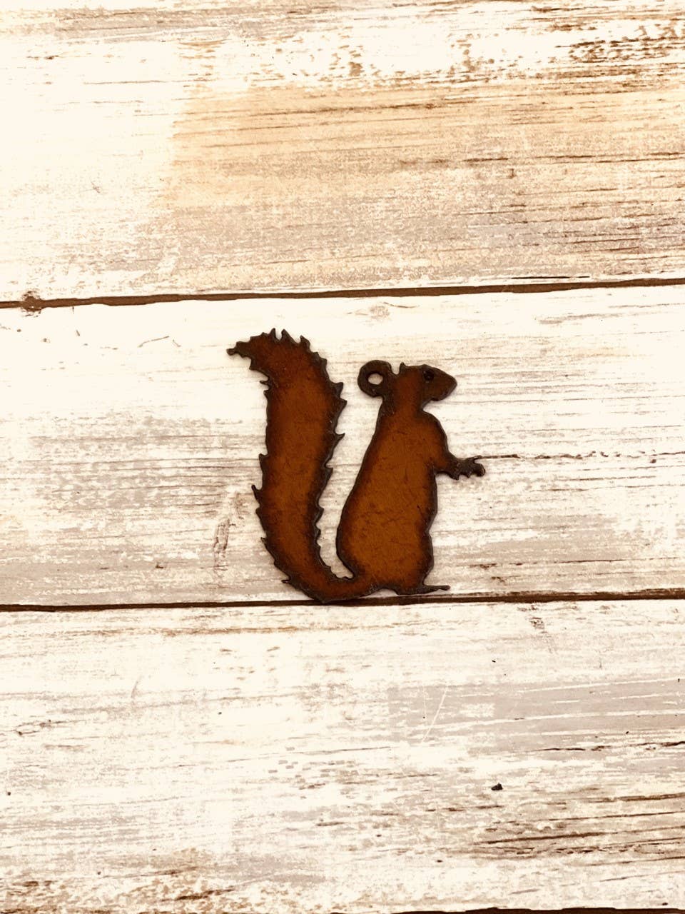 Squirrel Charm Rustic Lodge Gift