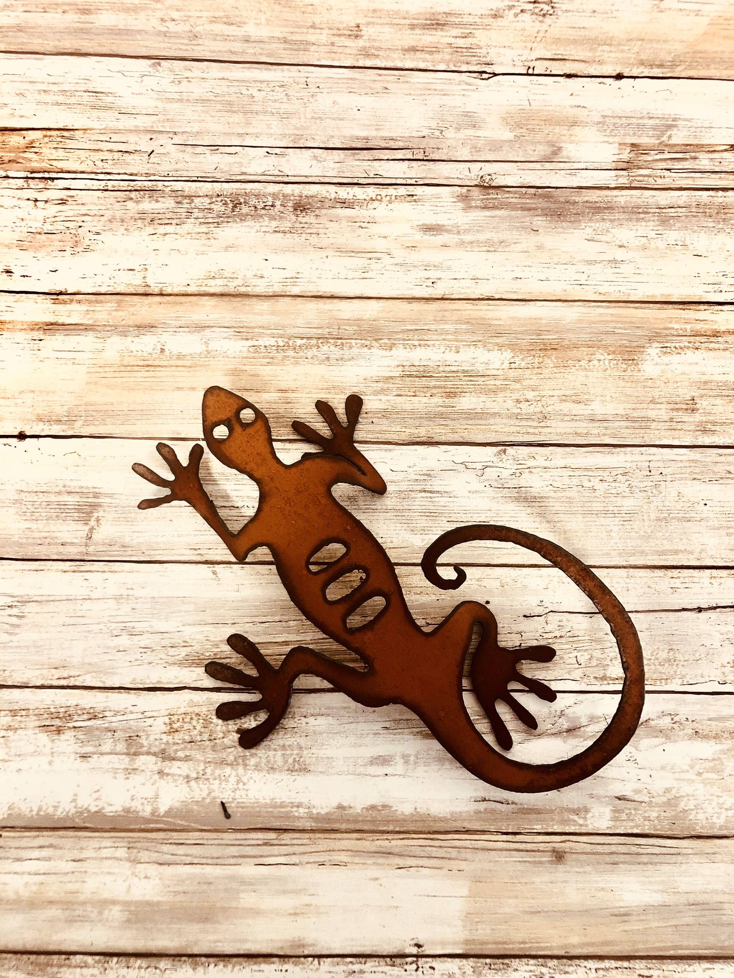 Lizard Small Desert Southwest 3 D Wall Art