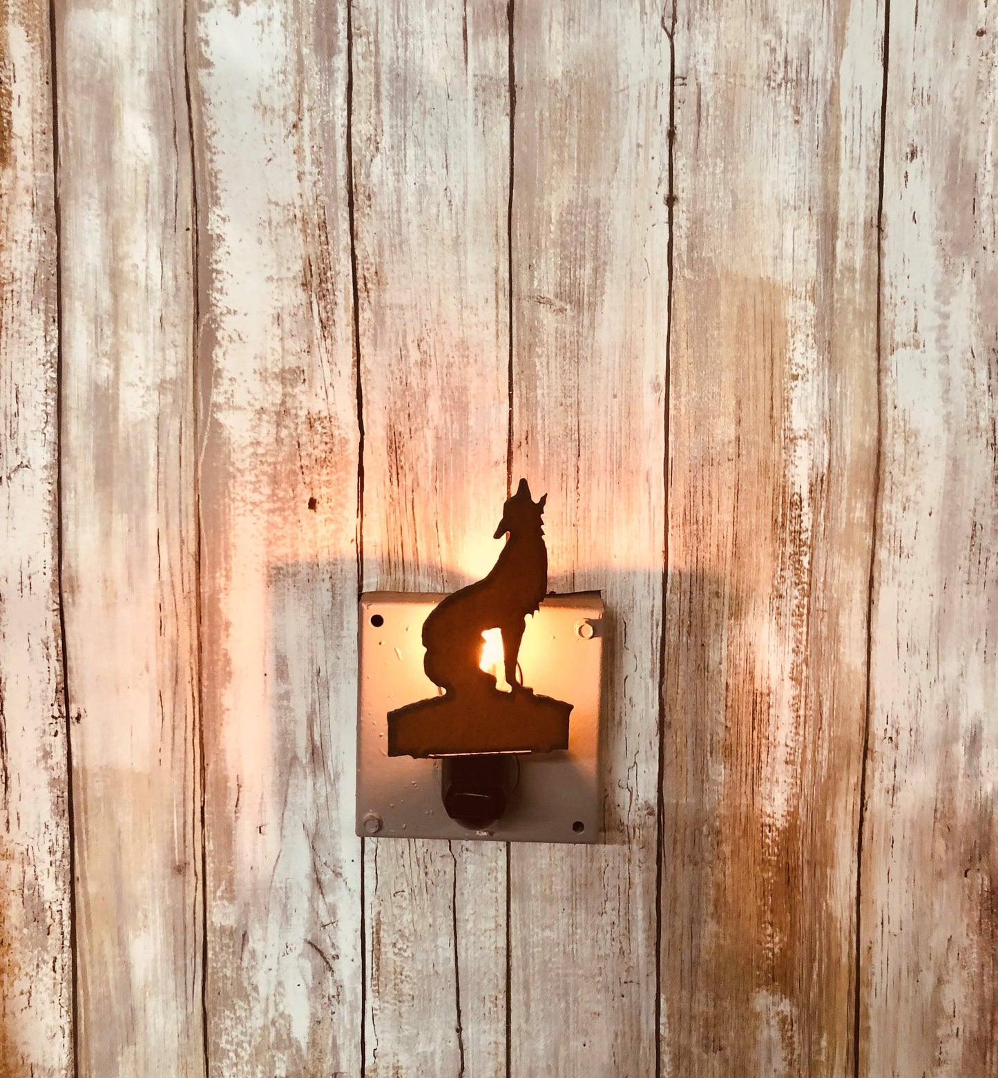 Coyote Image Southwestern Nightlight