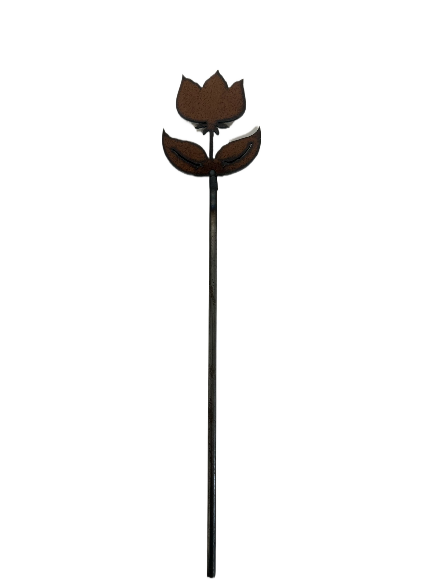 Bristol Flower Tulip Garden Plant Stake