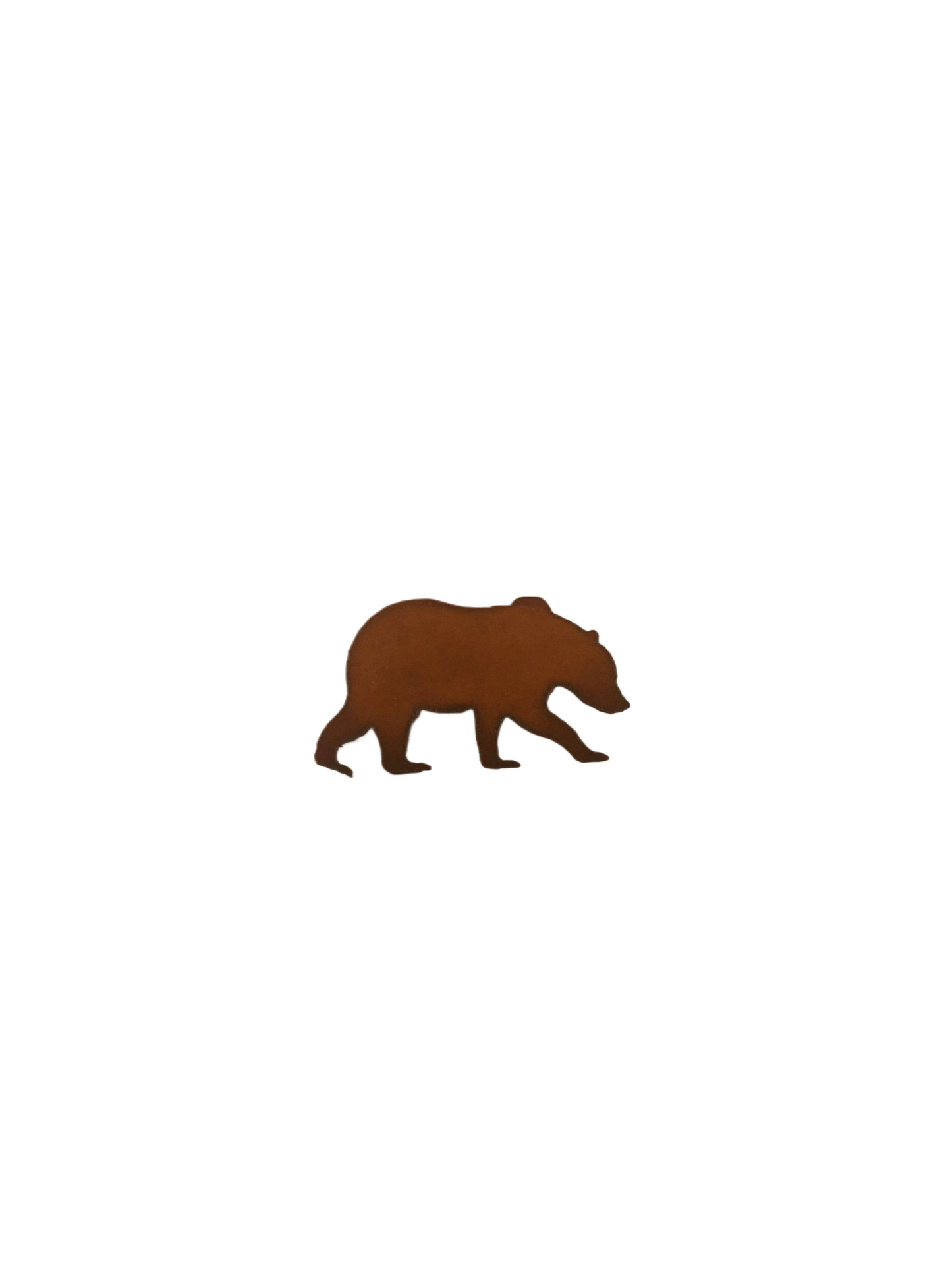 Grizzly Bear Magnet