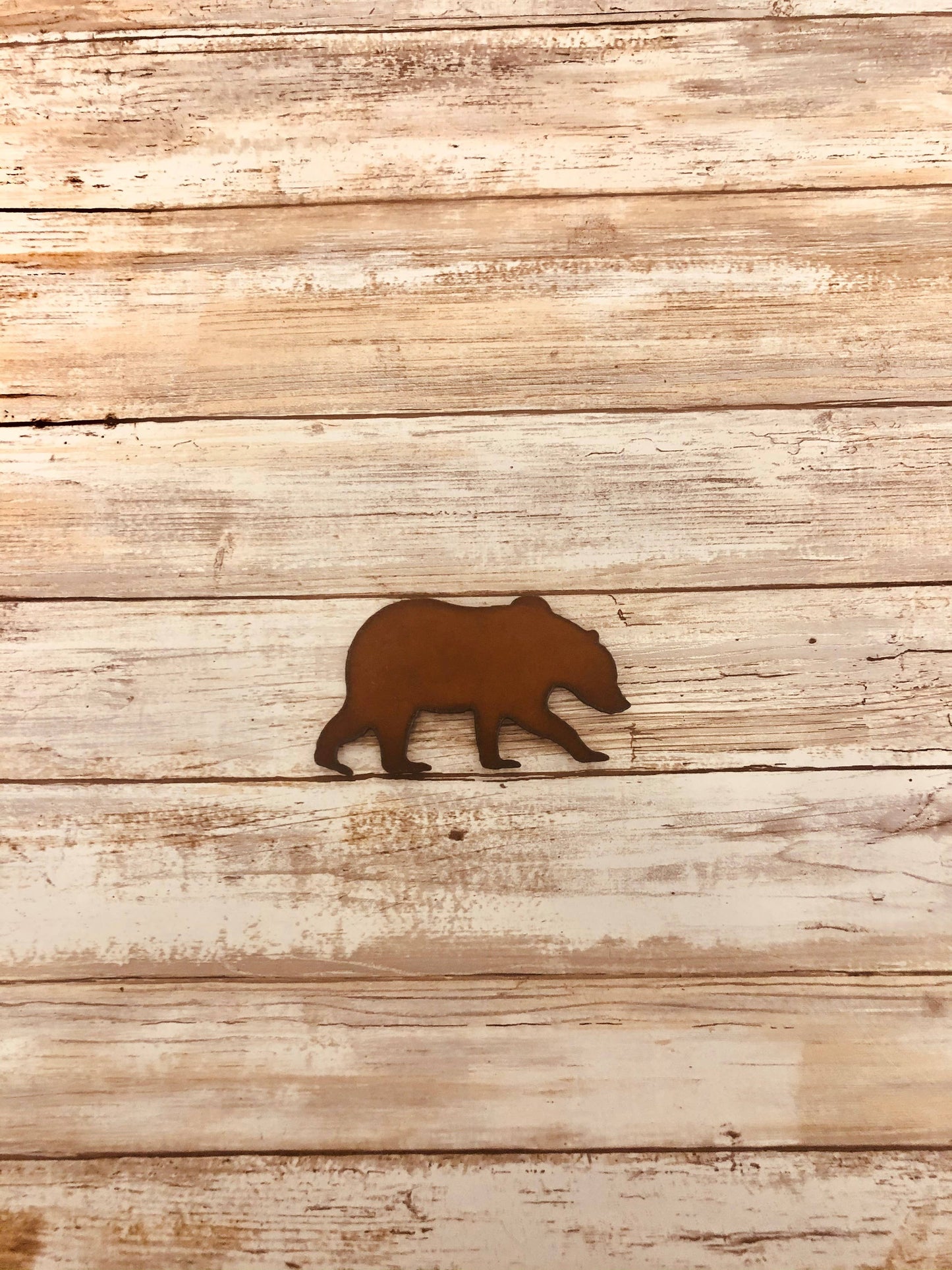 Grizzly Bear Magnet