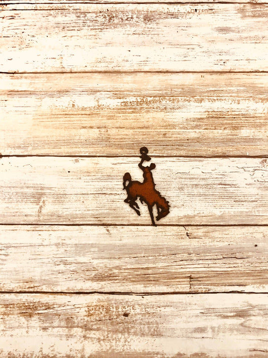 Wyoming Bronc Rider Charm Pendant