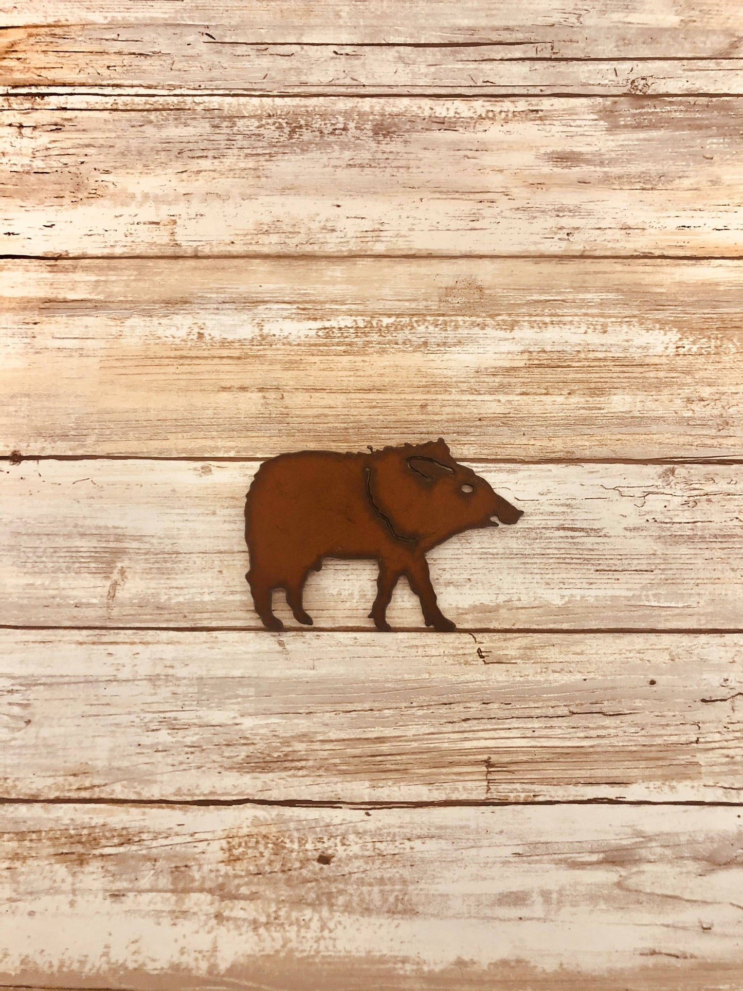 Javelina Magnet