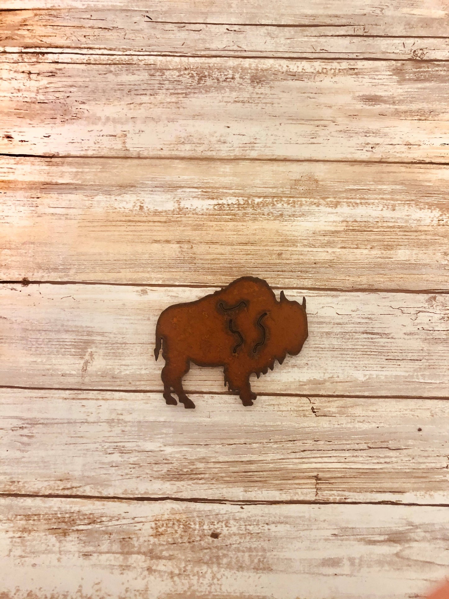 Buffalo Magnet