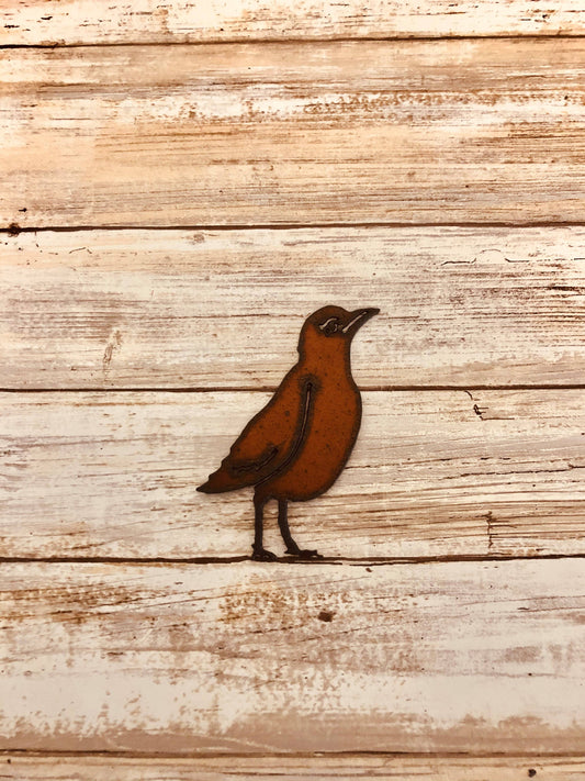 Robin Bird Magnet