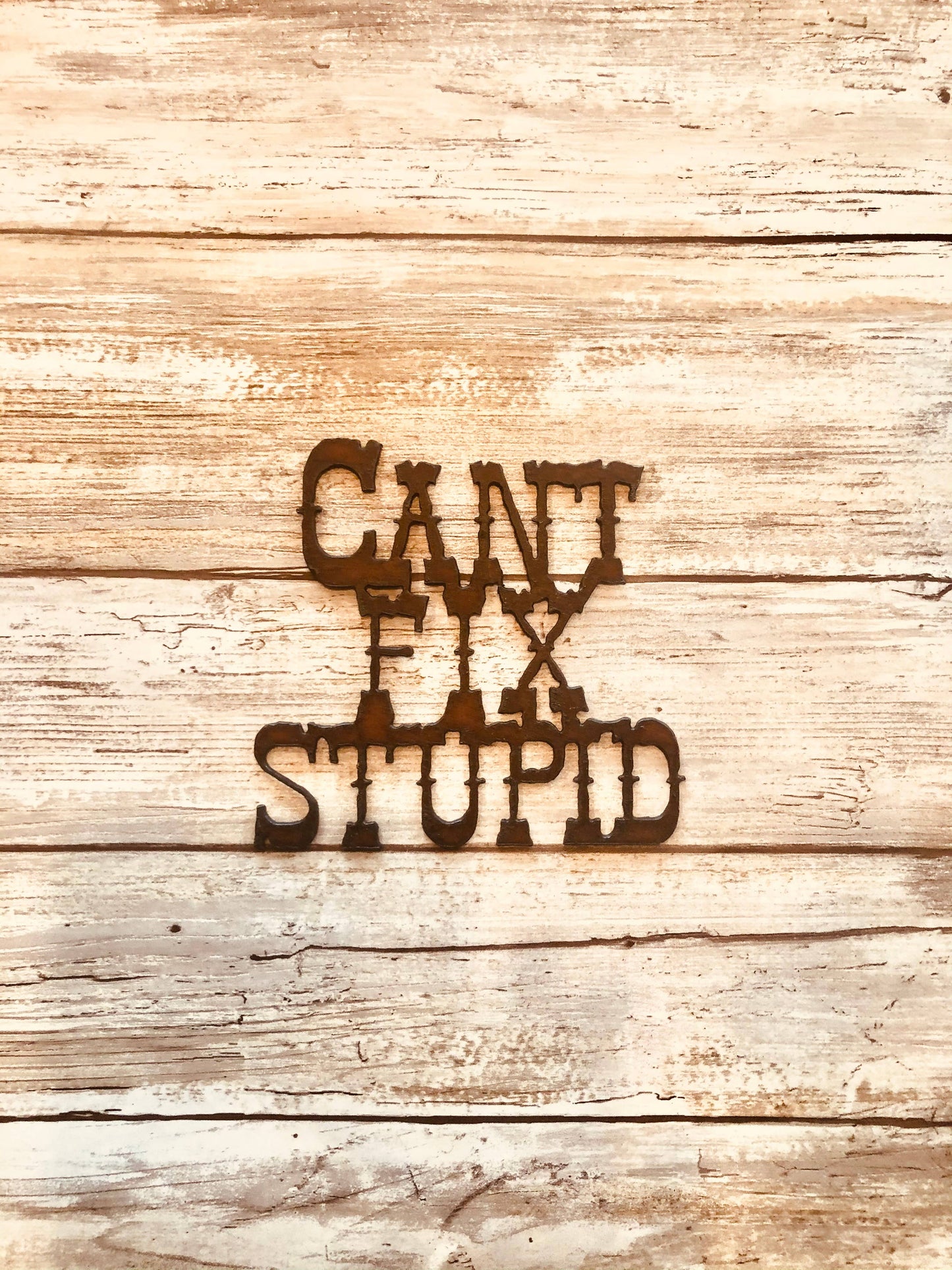 Can’t Fix Stupid Magnet