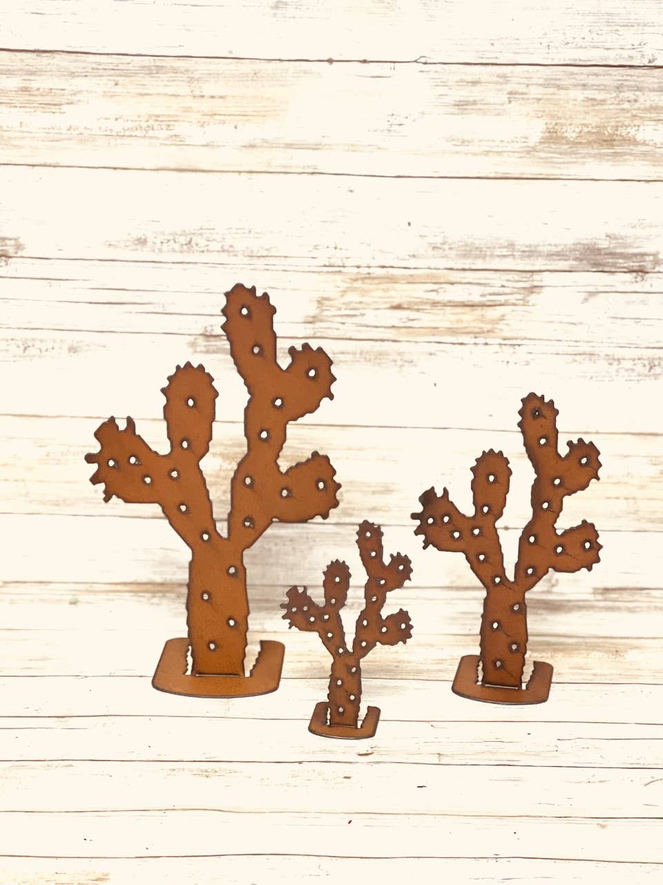 Prickly Pear Set Of Three Rustic Arizona home Decor