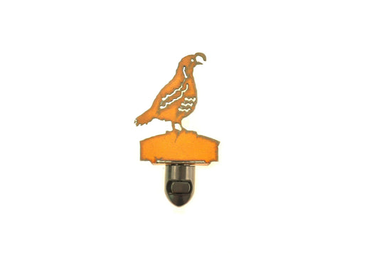 Quail Desert Southwestern Image Nightlight