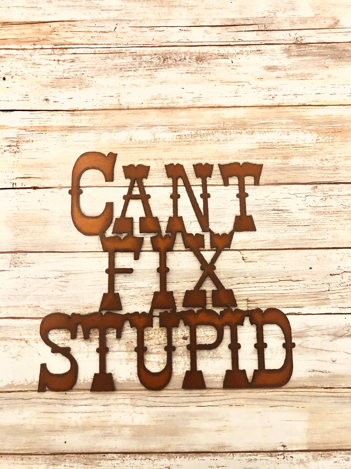 Can't Fix Stupid Funny Rustic Wall Sign