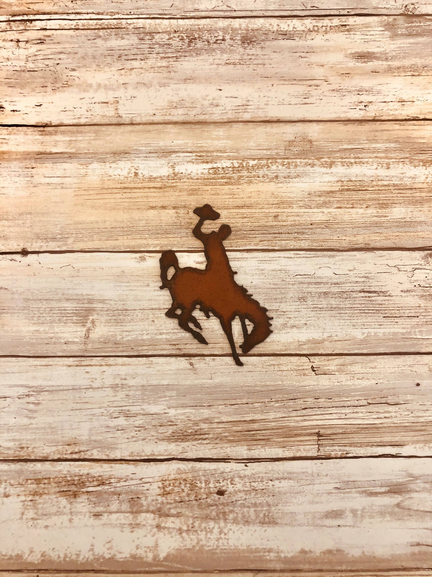 Bronc Rider Wyoming  with Hat Magnet