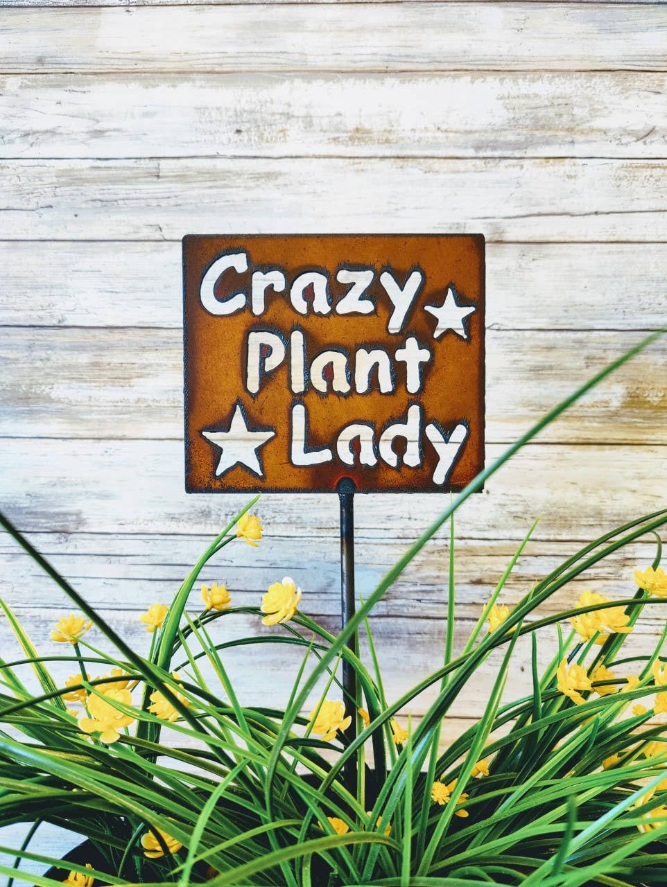 Crazy Plant Lady Plant Stake Garden Plaque