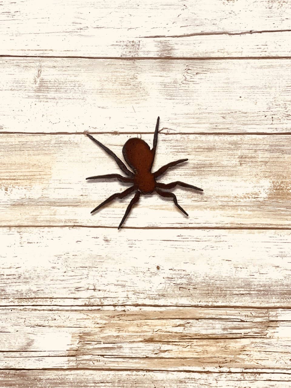 Spider Magnet Rustic Metal