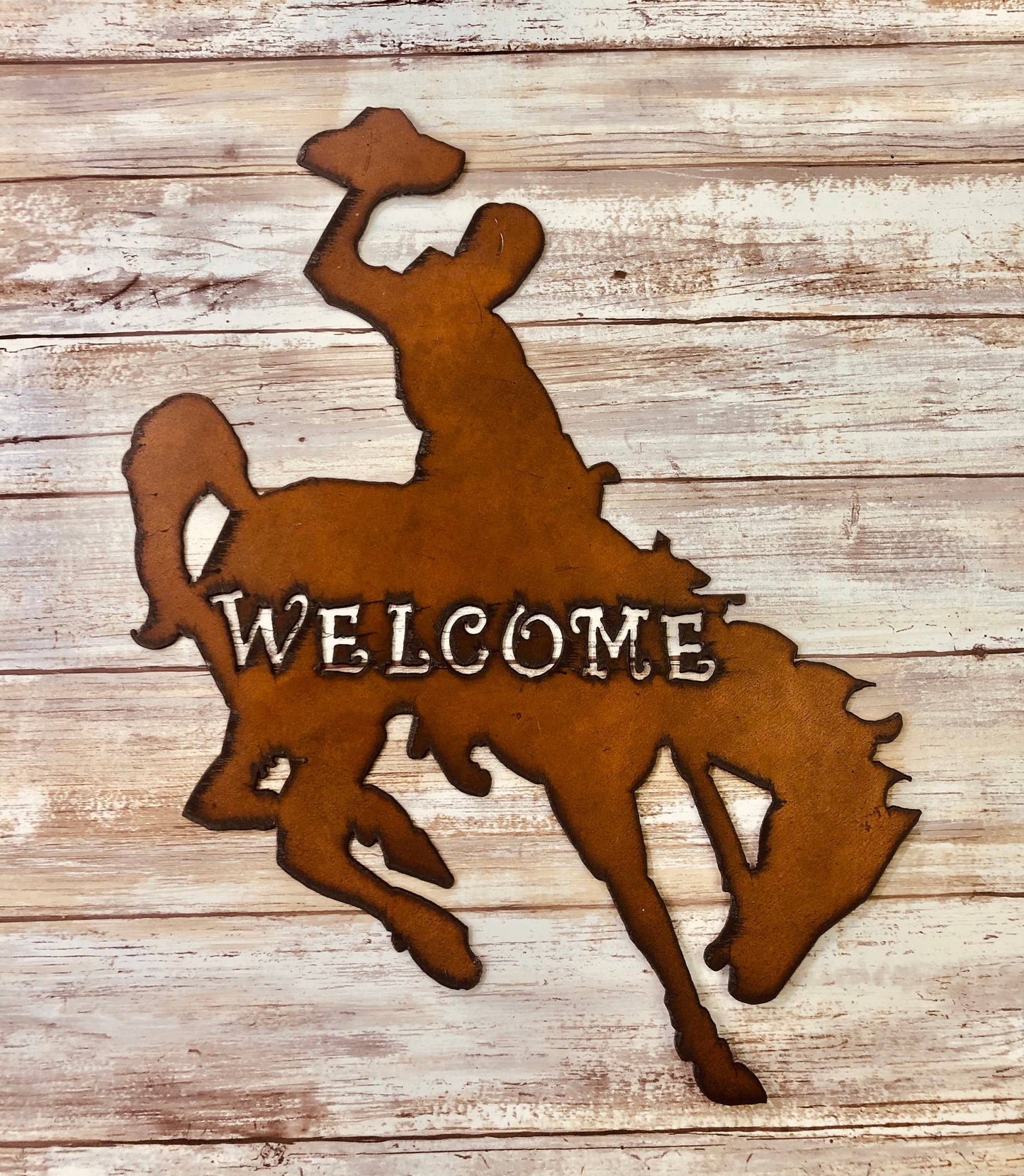 Bronc Rider Wyoming Western Image Welcome Sign